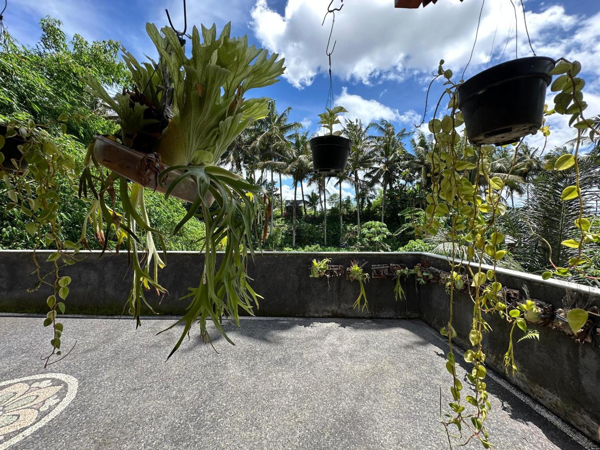 Tagel Karsa House Hotell Ubud Exteriör bild