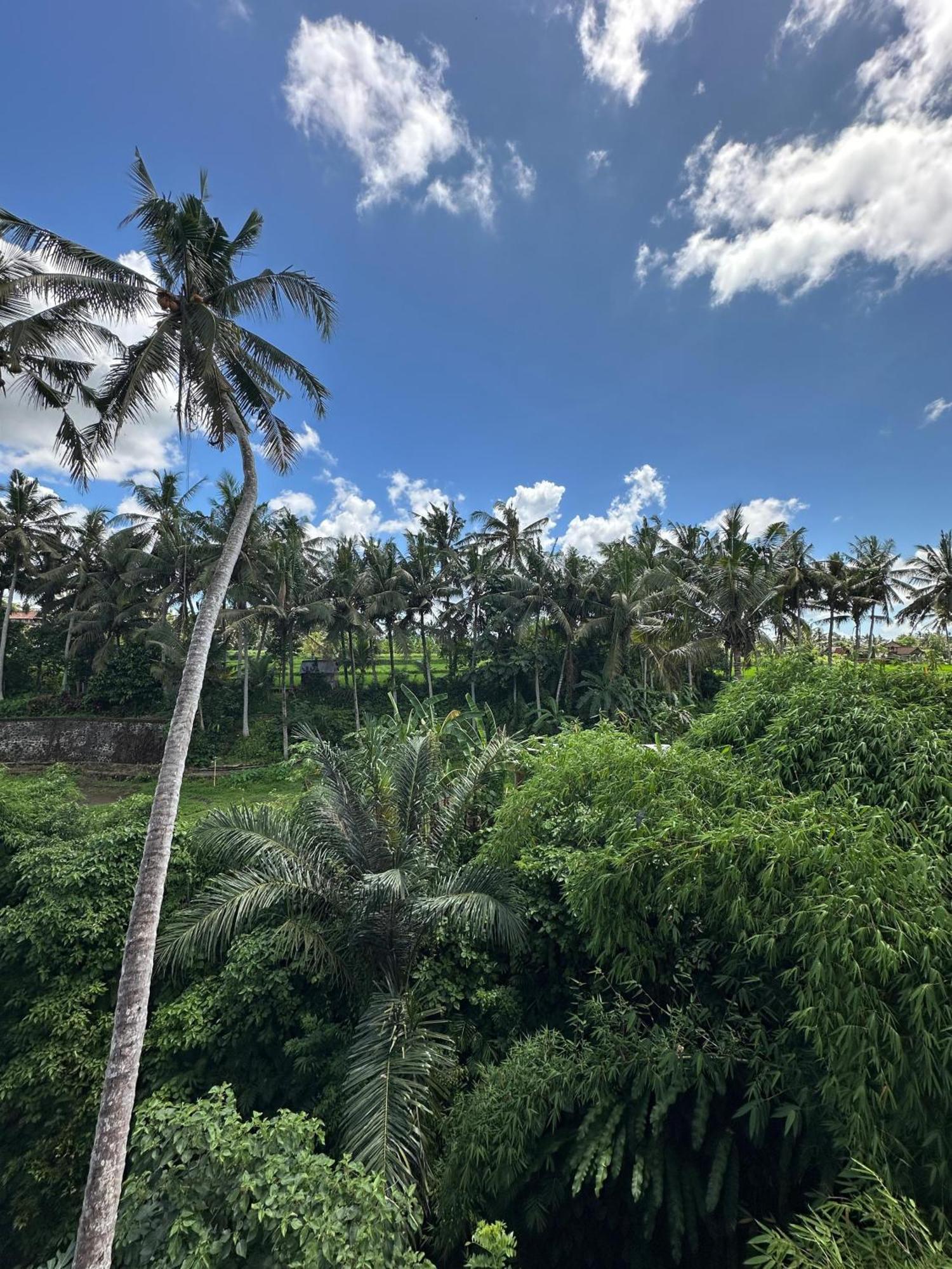 Tagel Karsa House Hotell Ubud Exteriör bild
